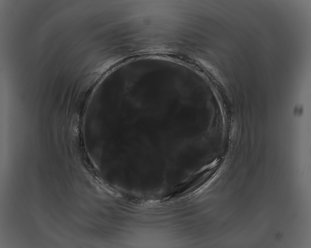 X0000091241161200708231711