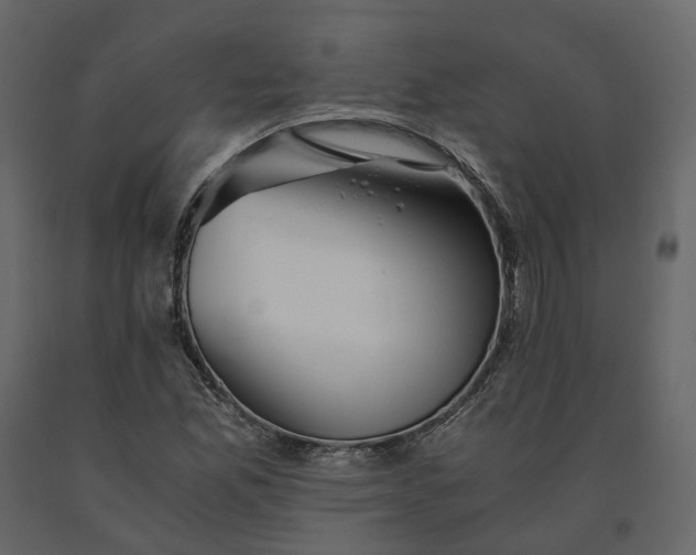 X0000091241165200708231710