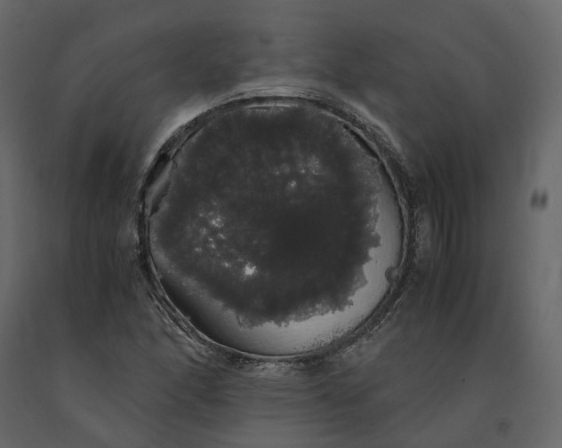 X0000091241166200708231710