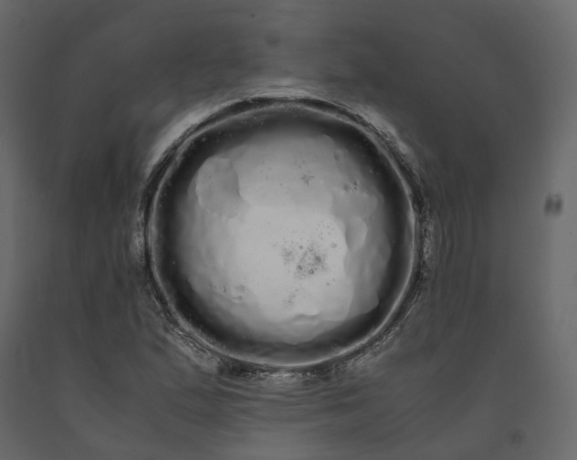 X0000091241167200708231710