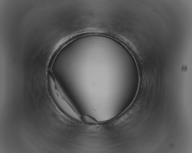 X0000091241168200708231710
