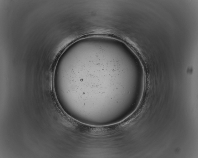 X0000091241171200708231710