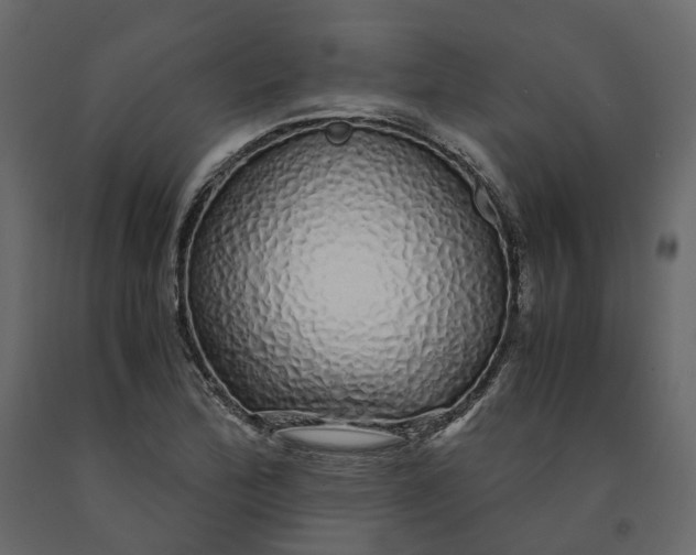 X0000091241172200708231710