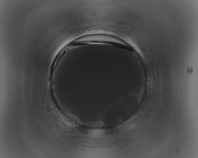 X0000091241173200708231710