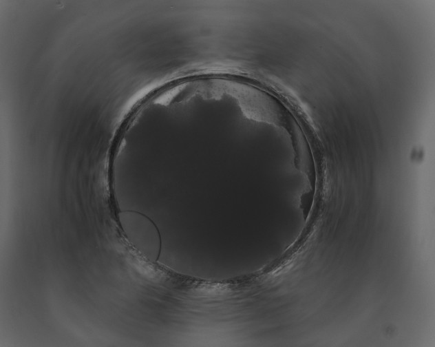 X0000091241174200708231710