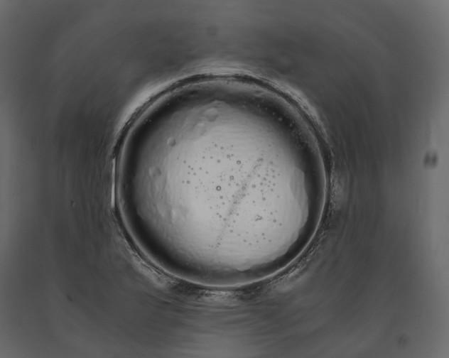 X0000091241175200708231710