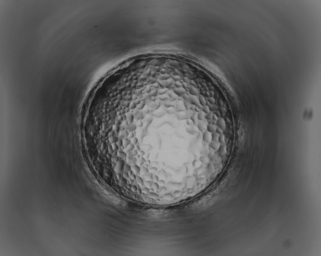X0000091241176200708231710