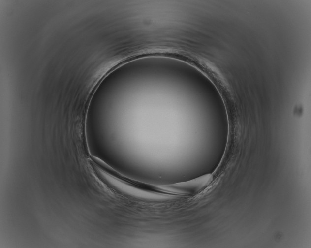 X0000091241177200708231710