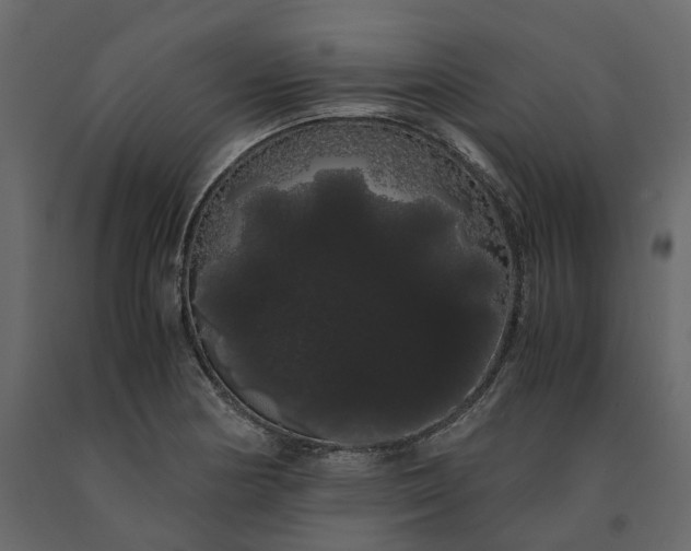 X0000091241178200708231710