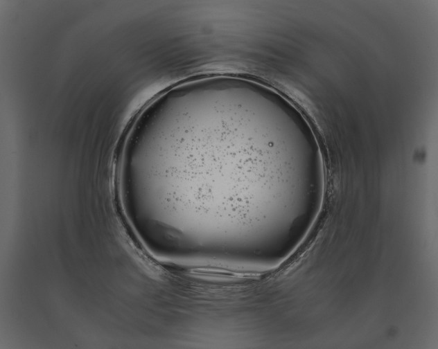 X0000091241179200708231710