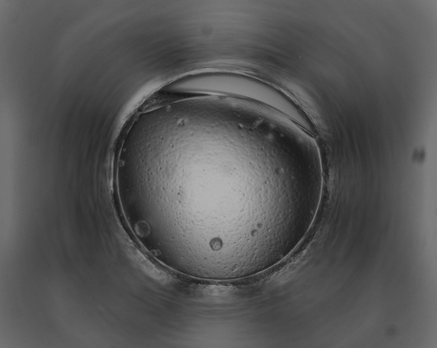 X0000091241180200708231710