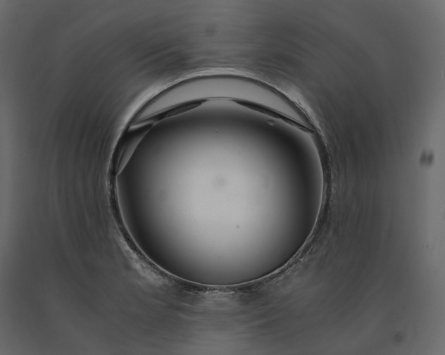 X0000091241181200708231710