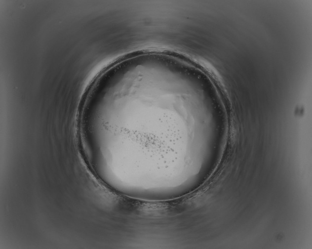 X0000091241183200708231710