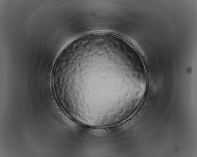 X0000091241186200708231710