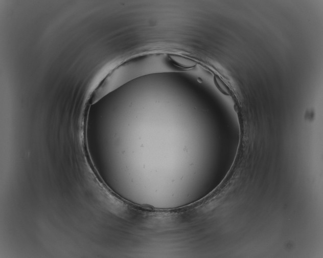 X0000091241188200708231710