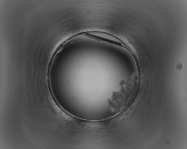 X0000091241189200708231710