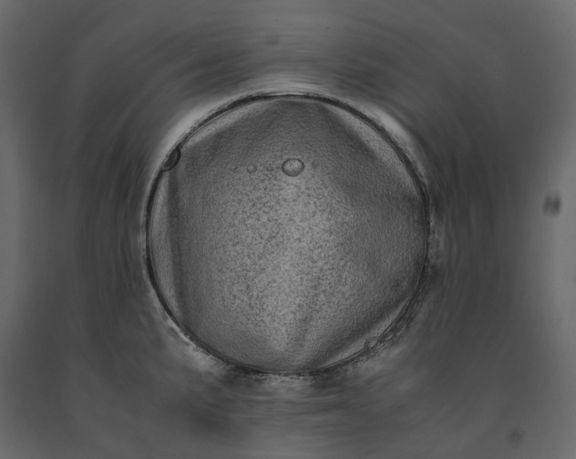 X0000091241191200708231710