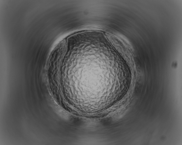 X0000091241192200708231710