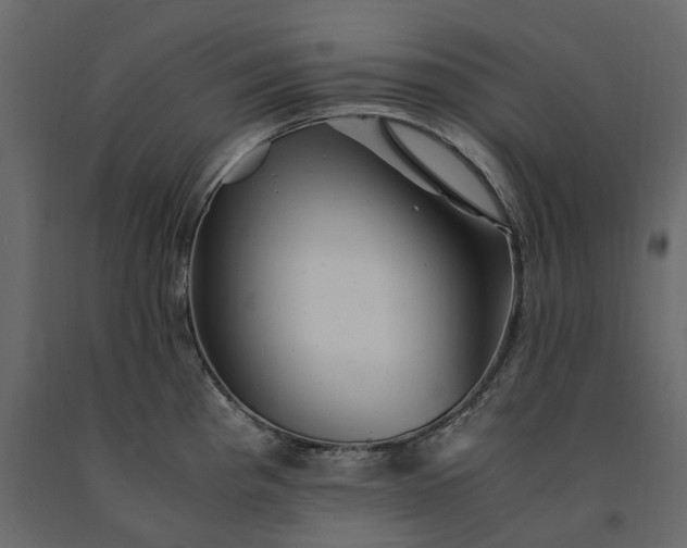 X0000091241193200708231710