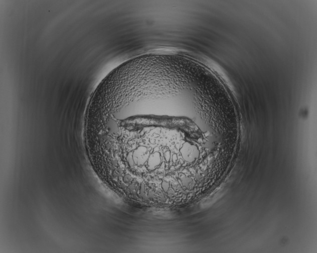 X0000091241194200708231710