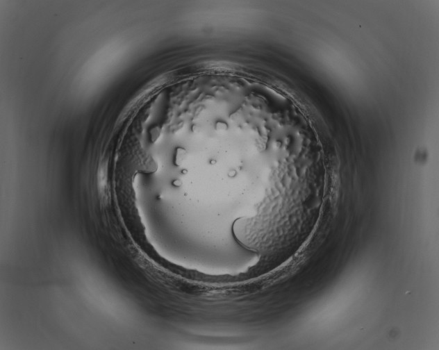 X0000091241198200708231710