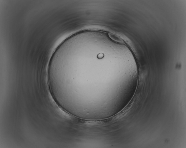 X0000091241199200708231710
