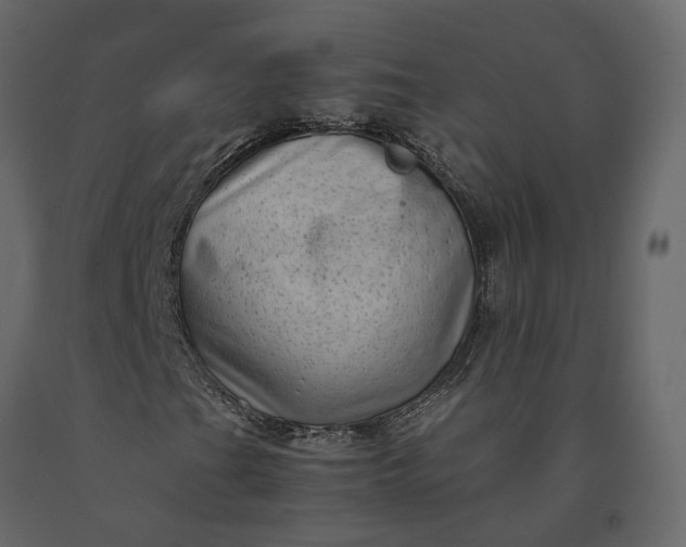 X0000091241201200708231709