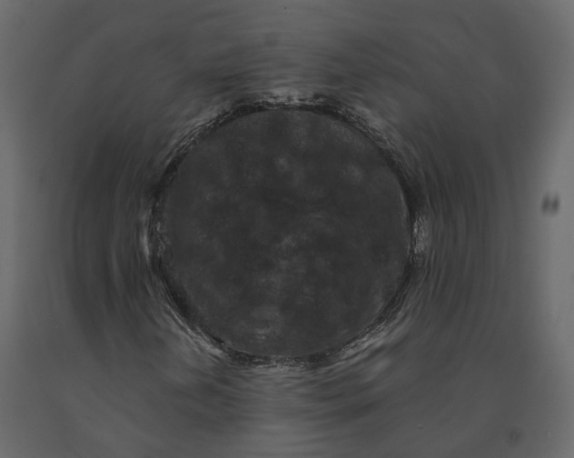 X0000091241202200708231709