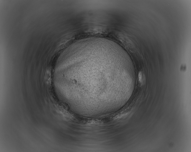 X0000091241203200708231709