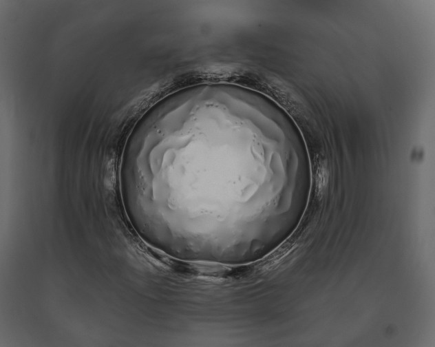 X0000091241204200708231709