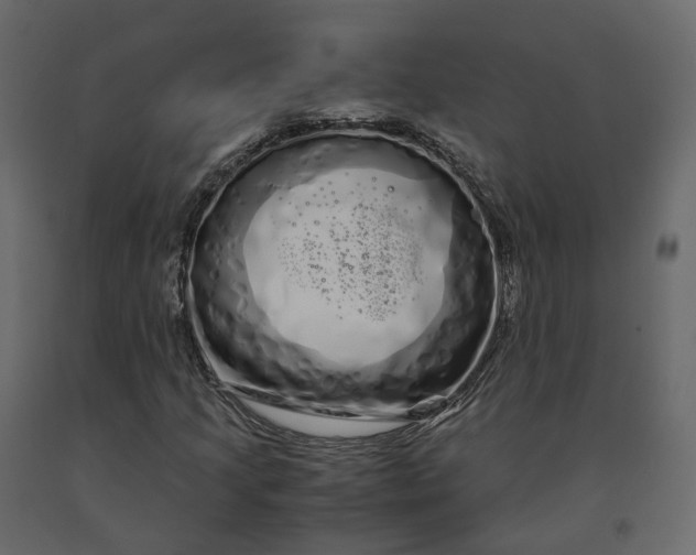 X0000091241205200708231709