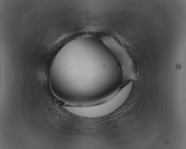X0000091241206200708231709