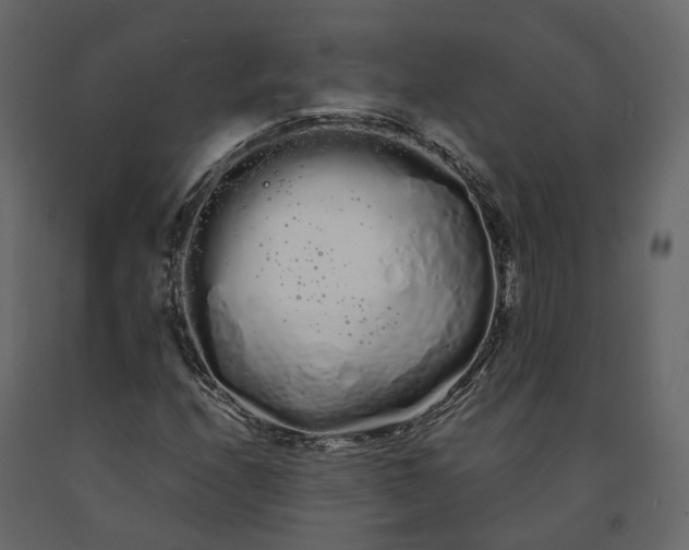 X0000091241208200708231709