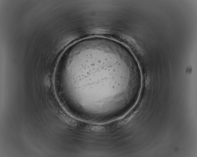 X0000091241209200708231709