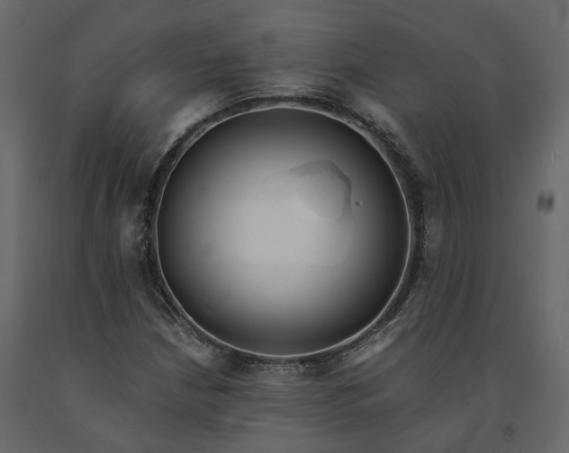 X0000091241210200708231709