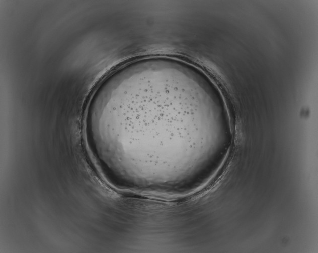X0000091241212200708231709