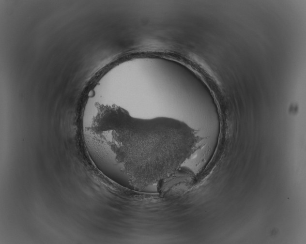 X0000091241213200708231709