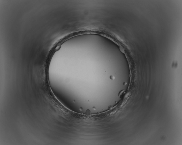 X0000091241214200708231709