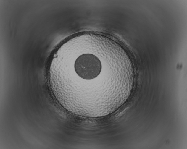 X0000091241215200708231709