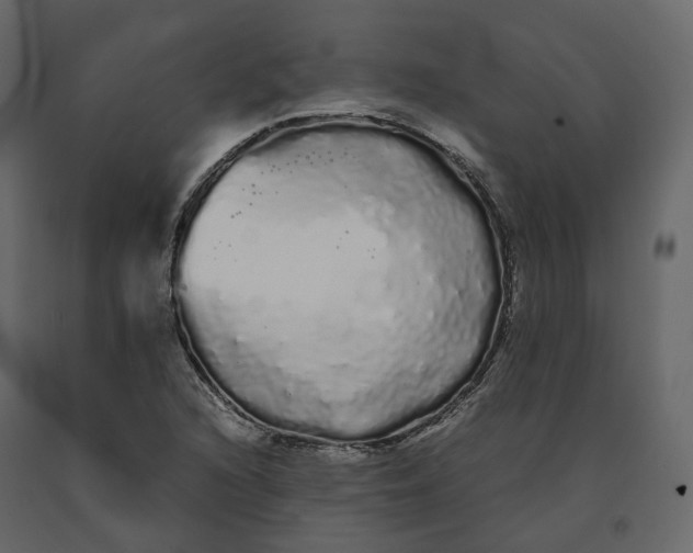 X0000091241216200708231709