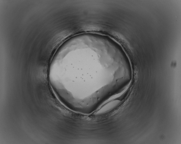 X0000091241217200708231709