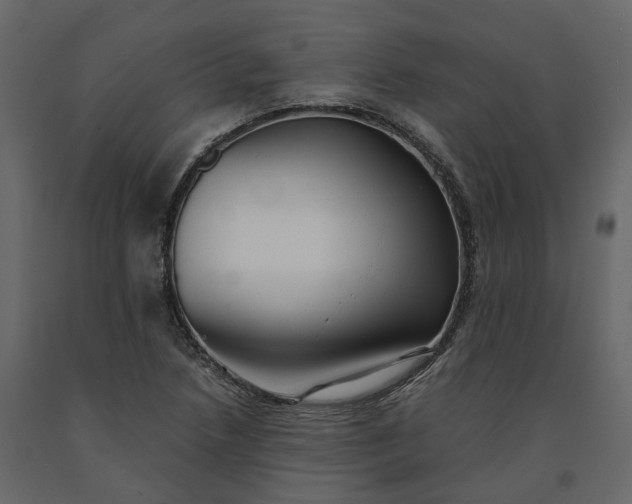 X0000091241218200708231709