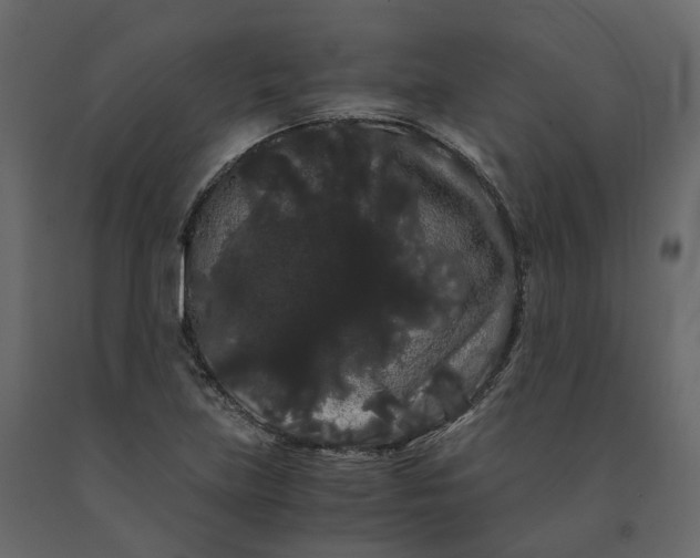 X0000091241219200708231709
