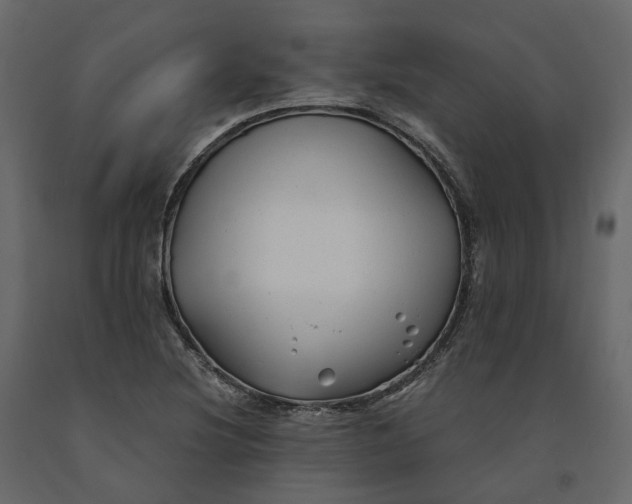 X0000091241220200708231709
