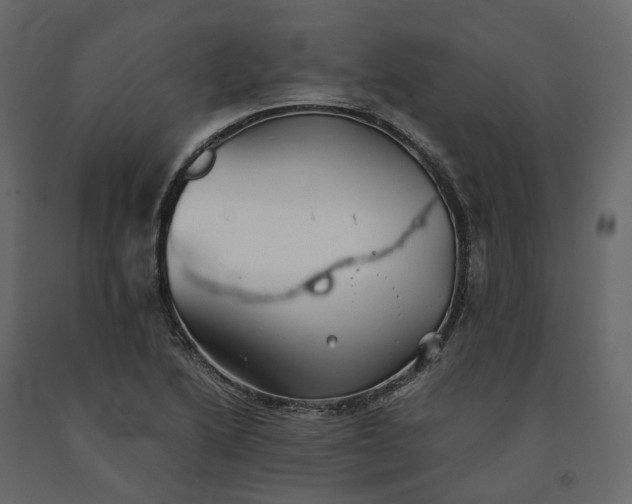 X0000091241222200708231709