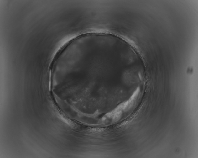 X0000091241223200708231709