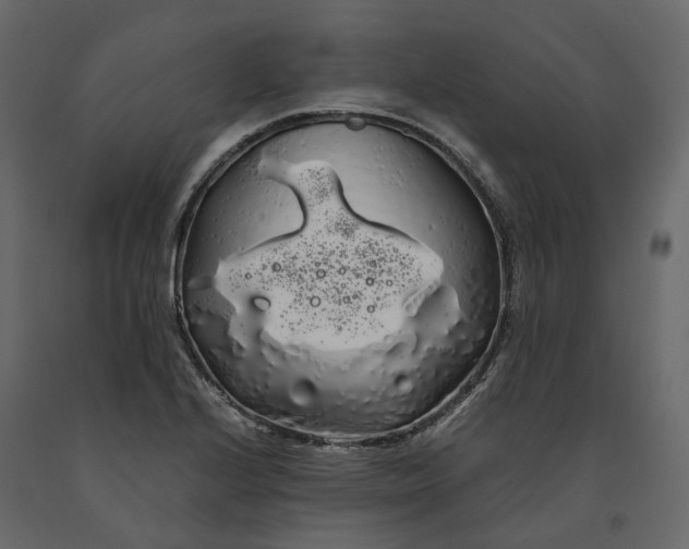 X0000091241224200708231709