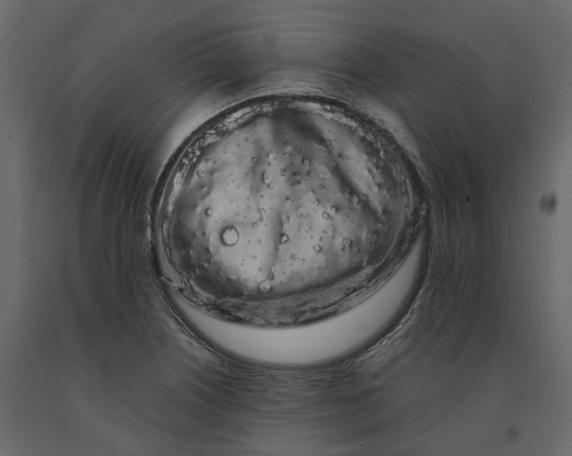 X0000091241226200708231710