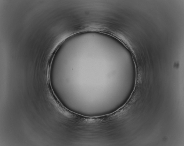 X0000091241227200708231710