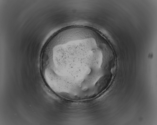 X0000091241232200708231710